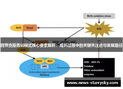 阿贾克斯青训模式核心要素解析：成长过程中的关键关注点与发展路径